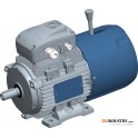 الکتروموتور های سه فاز ترمزدار (DELPHI AT Self Braking Motors)